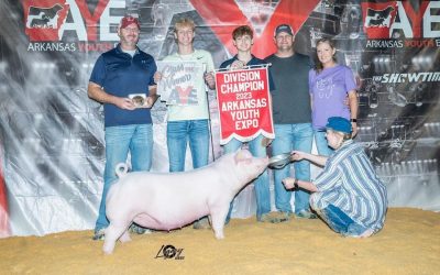Champion Chester Gilt  – 2023 Arkansas Youth Expo