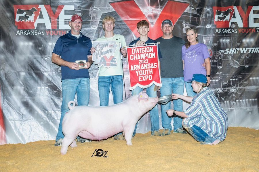 Champion Chester Gilt  – 2023 Arkansas Youth Expo