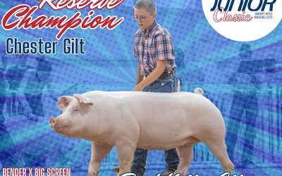 5th Overall Team Purebred Gilt & Reserve Champion Chester – 2023 NBS Junior Classic