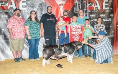 Reserve Champion Spot Barrow – 2023 Arkansas Youth Expo