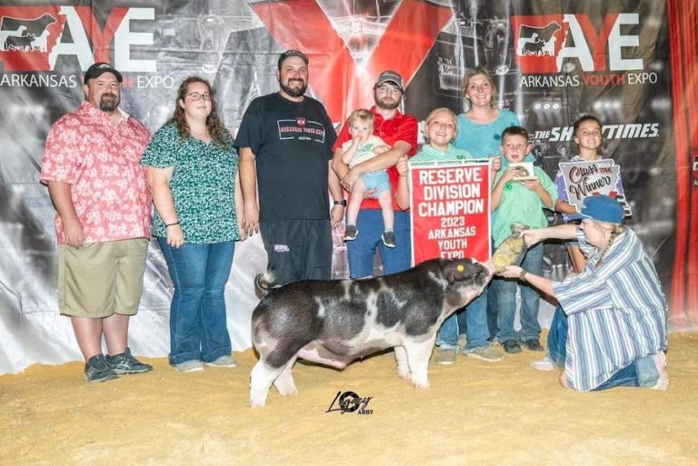 Reserve Champion Spot Barrow – 2023 Arkansas Youth Expo