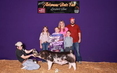 Reserve Champion Spot Market Hog – 2023 Arkansas State Fair
