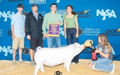4th Overall Landrace Barrow – 2023 The Exposition