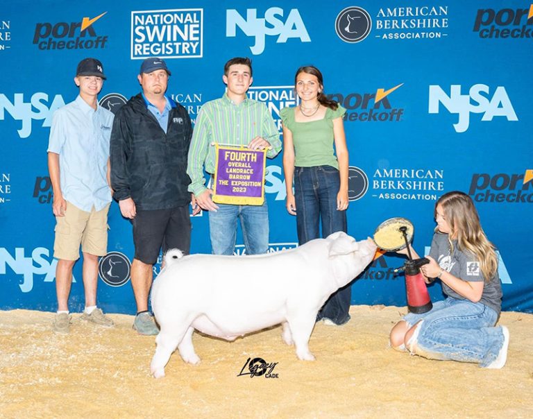 4th Overall Landrace Barrow – 2023 The Exposition