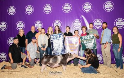 5th Overall Market Hog & Champion Spot – 2023 Michigan Livestock Expo