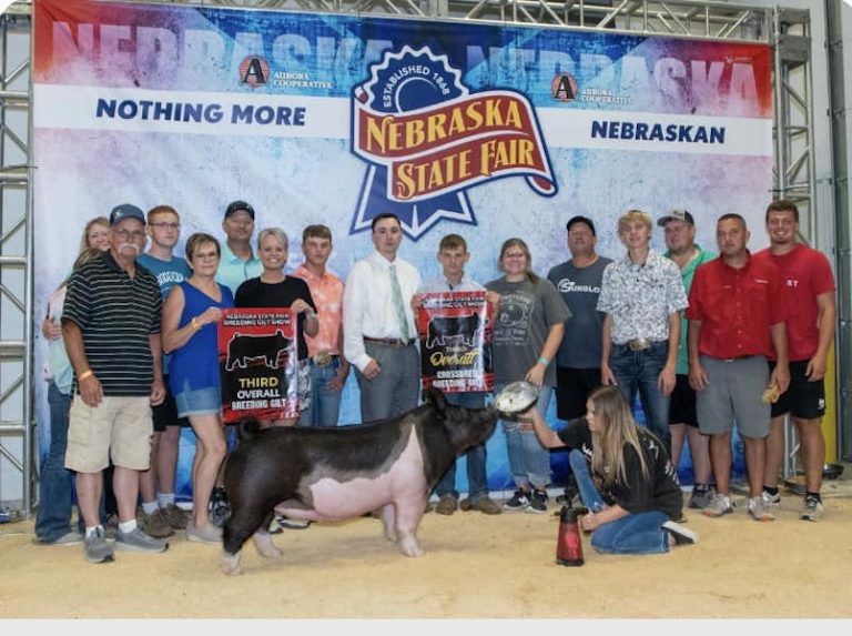 3rd Overall Gilt & 3rd Overall Crossbred – 2023 Nebraska State Fair Open Show