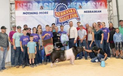 Reserve Overall Gilt & Champion Crossbred – 2023 Nebraska State Fair 4-H Show