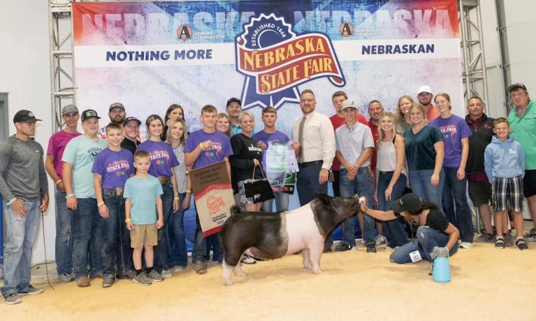 Reserve Overall Gilt & Champion Crossbred – 2023 Nebraska State Fair 4-H Show