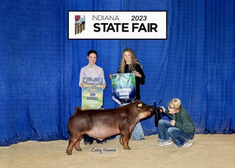 3rd Overall Barrow & Champion Duroc – 2023 Indiana State Fair Ribbon Cutting Classic