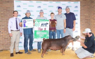 3rd Overall Gilt & Champion Duroc – 2023 Minnesota State Fair