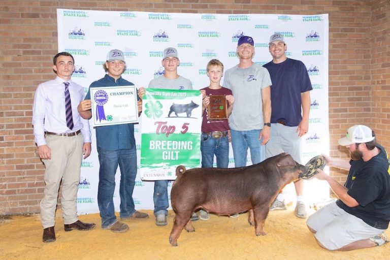 3rd Overall Gilt & Champion Duroc – 2023 Minnesota State Fair