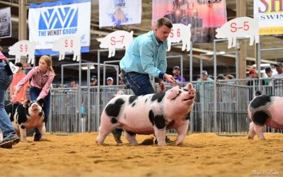 3rd Overall Spot Gilt – 2023 Ohio State Fair Jr Show