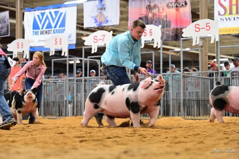 3rd Overall Spot Gilt – 2023 Ohio State Fair Jr Show