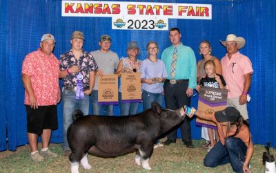 3rd Overall Gilt & Champion Berkshire – 2023 Kansas State Fair
