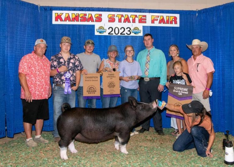 3rd Overall Gilt & Champion Berkshire – 2023 Kansas State Fair