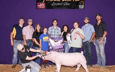 Reserve Champion Chester Market Hog – 2023 Arkansas State Fair