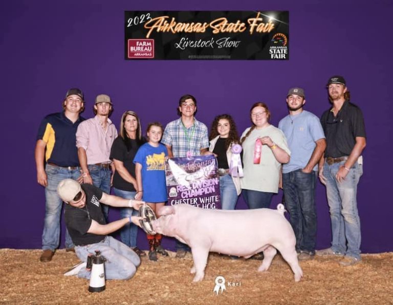 Reserve Champion Chester Market Hog – 2023 Arkansas State Fair