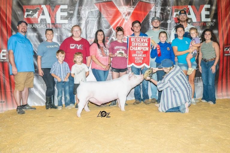 Reserve Champion Chester Barrow – 2023 Arkansas Youth Expo