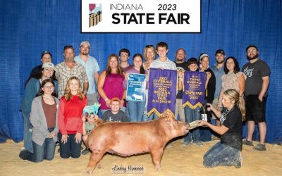 3rd Overall Tamworth Barrow – 2023 Indiana State Fair Jr Show