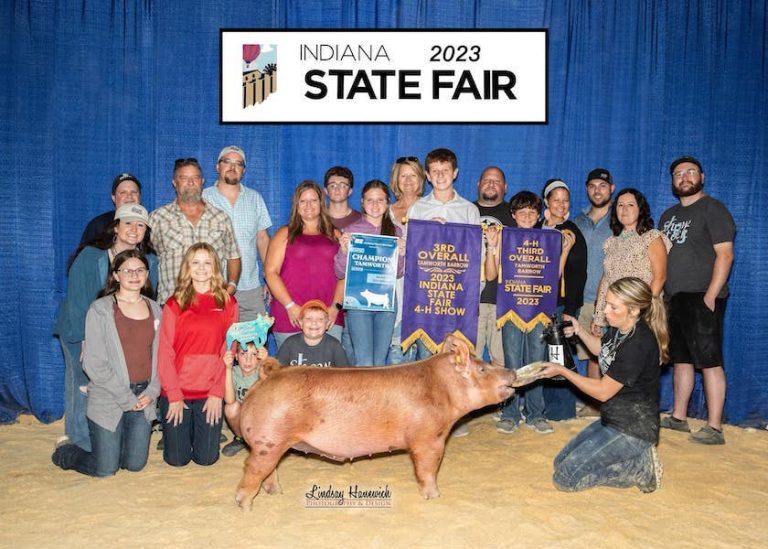 3rd Overall Tamworth Barrow – 2023 Indiana State Fair Jr Show