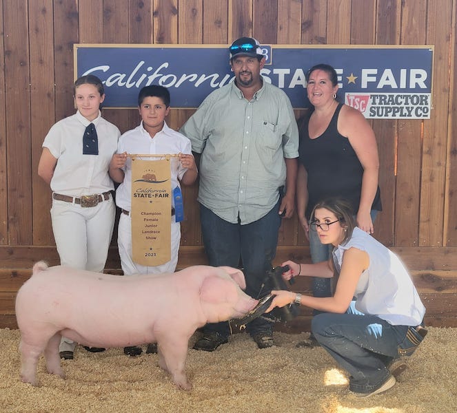 Champion Landrace Gilt – 2023 California State Fair
