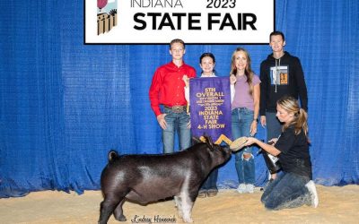 5th Overall Division 2 Crossbred Barrow – 2023 Indiana State Fair Jr Show
