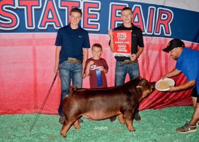 5th Overall Division 1 Duroc Gilt – 2023 Ohio State Fair Jr Show
