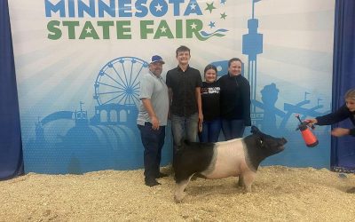 4th Overall Market Gilt – 2023 Minnesota State Fair