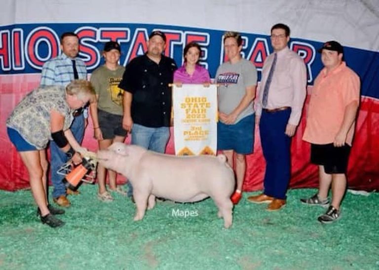 3rd Overall Landrace Gilt – 2023 Ohio State Fair Jr Show