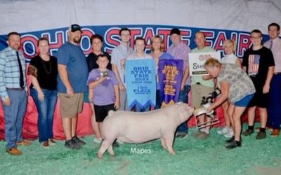 10th Overall Gilt & Champion Landrace – 2023 Ohio State Fair Jr Show