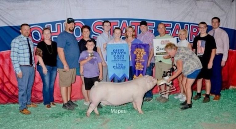 10th Overall Gilt & Champion Landrace – 2023 Ohio State Fair Jr Show