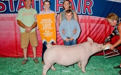 5th Overall Yorkshire Gilt – 2023 Ohio State Fair Jr Show