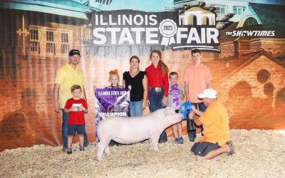 Champion Landrace Gilt – 2023 Illinois State Fair Jr Show