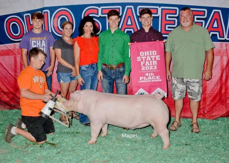 4th Overall Landrace Barrow – 2023 Ohio State Fair Jr Show