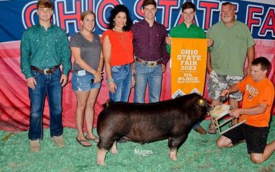 5th Overall Poland Barrow – 2023 Ohio State Fair Jr Show