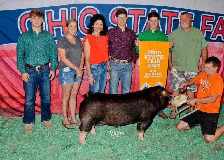 5th Overall Poland Barrow – 2023 Ohio State Fair Jr Show