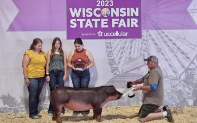 Champion Duroc Gilt – 2023 Wisconsin State Fair Badger Classic
