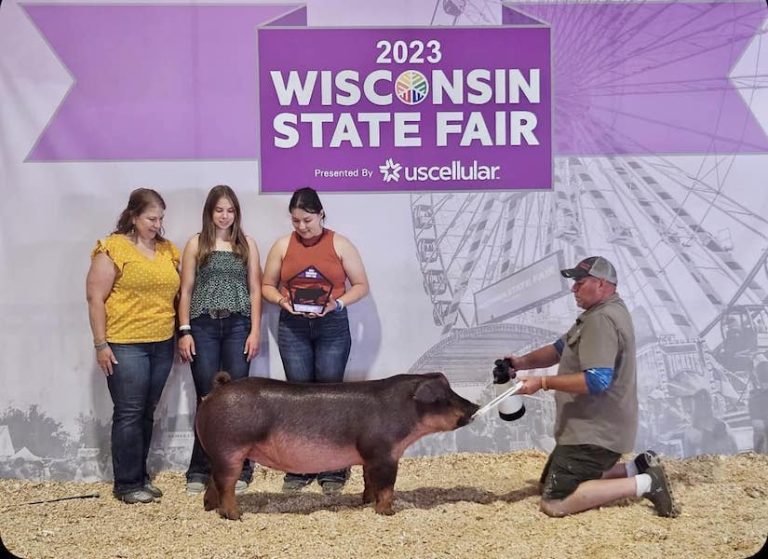 Champion Duroc Gilt – 2023 Wisconsin State Fair Badger Classic