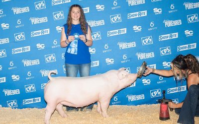 1st Place Chester Gilt – 2023 Team Purebred National Jr Show