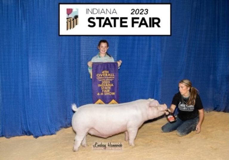 4th Overall Landrace Barrow – 2023 Indiana State Fair Jr Show