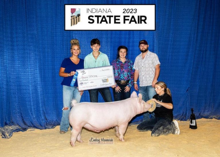 5th Overall Division 2 Yorkshire Barrow – 2023 Indiana State Fair Jr Show