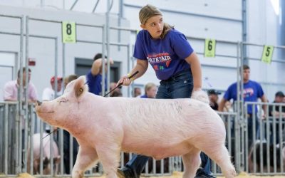 Reserve Champion Crossbred Barrow & Reserve Division 3 – 2023 Nebraska State Fair 4-H Show