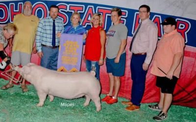 Reserve Champion Landrace Gilt – 2023 Ohio State Fair Jr Show