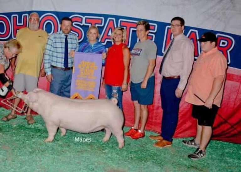 Reserve Champion Landrace Gilt – 2023 Ohio State Fair Jr Show