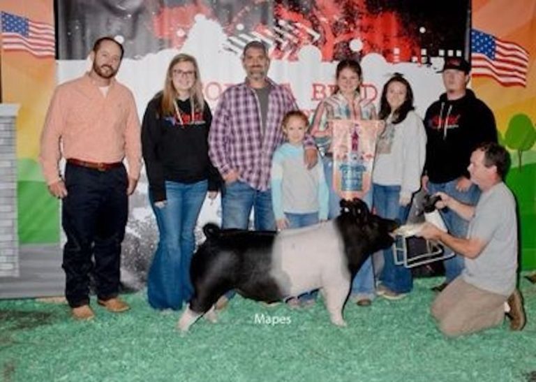 Grand Champion Market Gilt – 2023 Georgia National Fair GA Bred Show