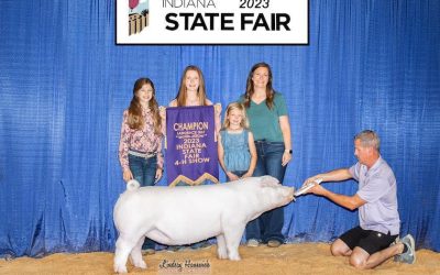 Champion Landrace Gilt – 2023 Indiana State Fair Jr Show