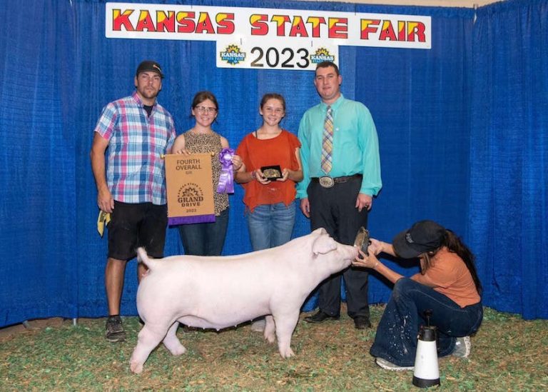4th Overall Gilt & Champion Light AOB – 2023 Kansas State Fair