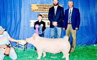 Champion Yorkshire Market Hog – 2023 North American International Livestock Expo