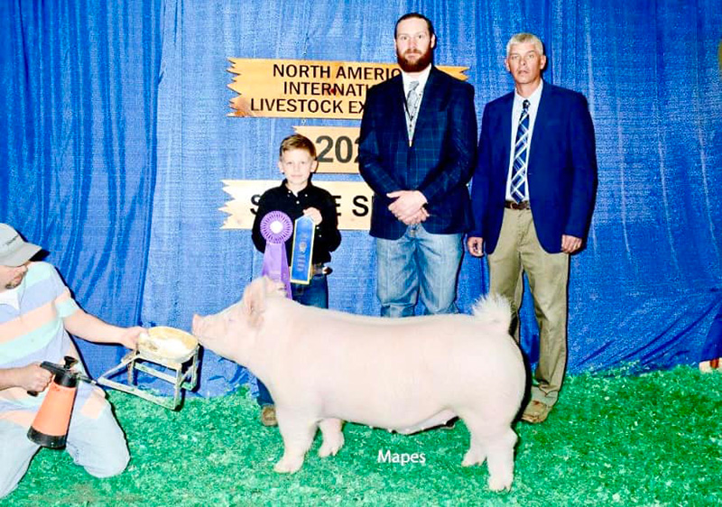 Champion Yorkshire Market Hog – 2023 North American International Livestock Expo
