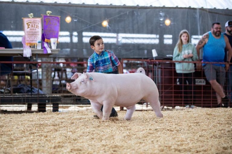 Reserve AOB Barrow – 2023 Arkansas Oklahoma State Fair